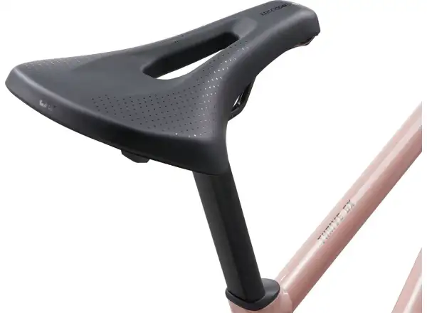 Liv Thrive GX fitness bike petra clay