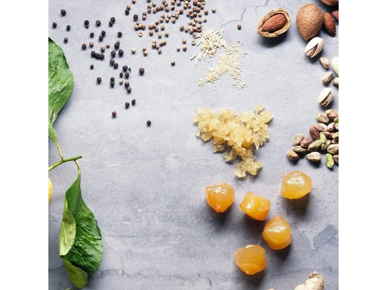 Veloforte Zenzero Bar 62 g Lemon, Ginger & Pistachios
