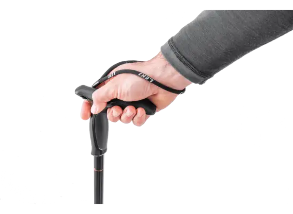 Legend Series trekking poles Naturalcarbon/Black/Vopper, size 90-120 cm