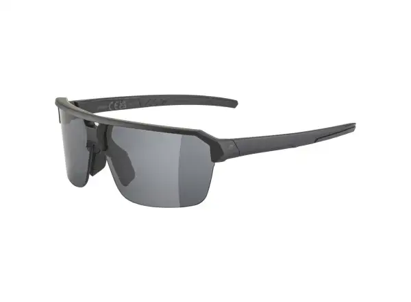 Alpina Swift HR glasses Black Matt