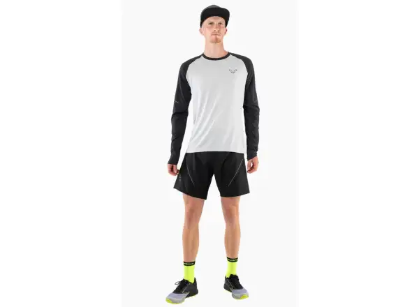 Dynafit Alpine Pro men's shirt long sleeve Blueberry/Storm Blue