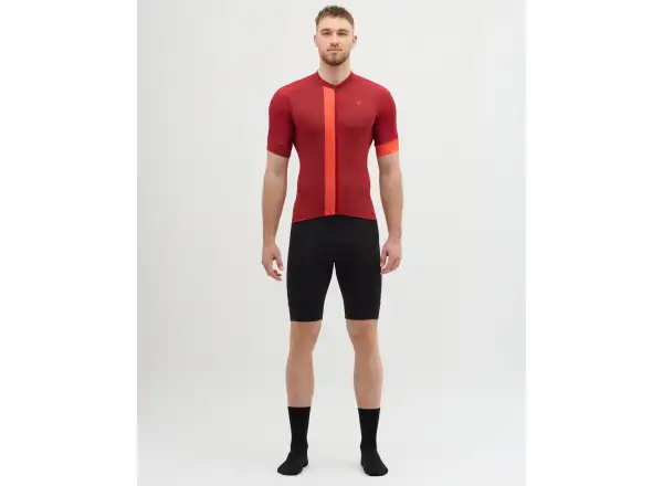 Silvini Carnio men's jersey short sleeve Merlot/Ruby