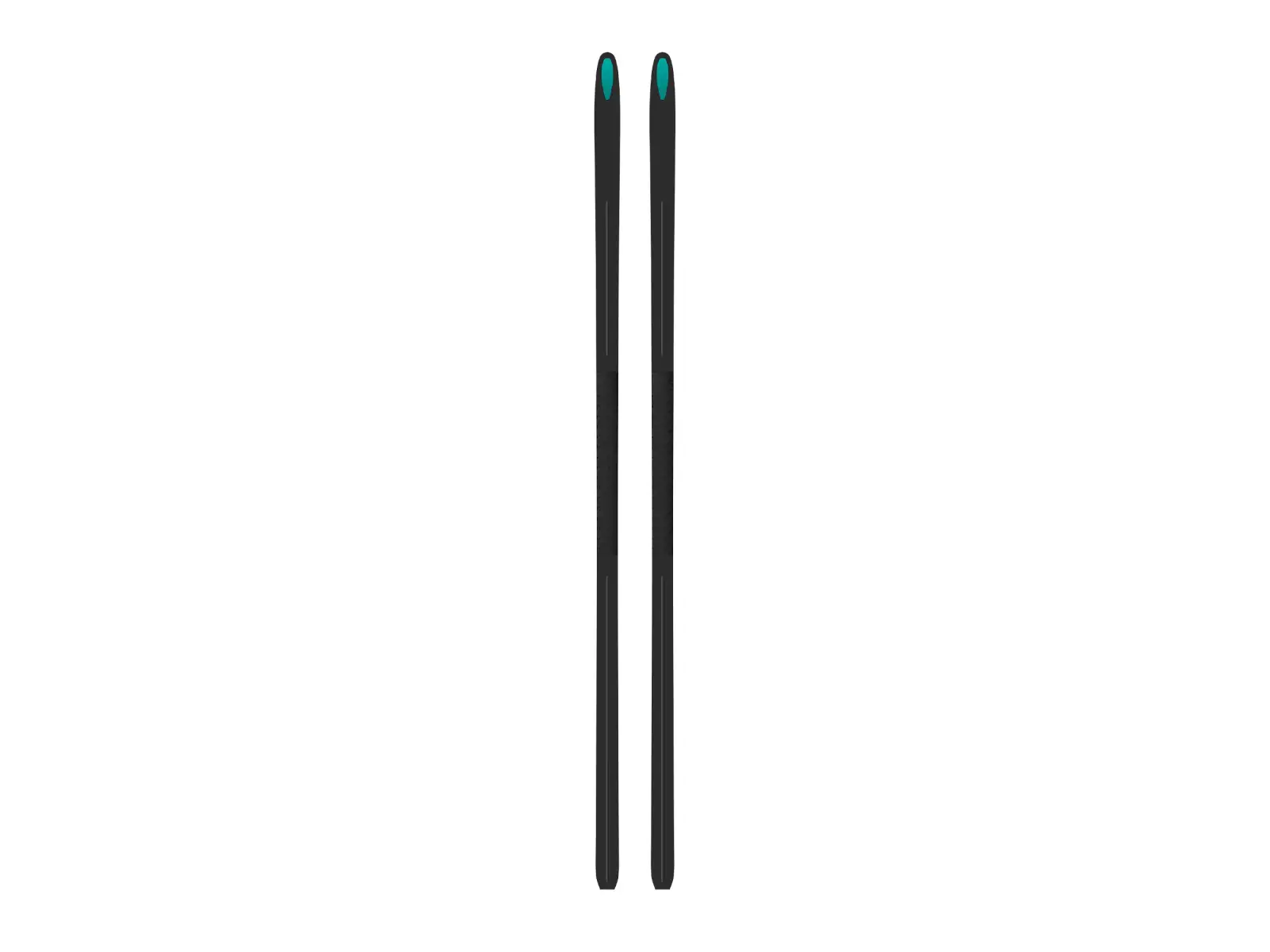 Kästle XA20 Classic Skin Medium cross-country skis