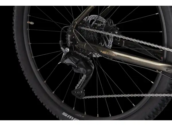 4Ever Frontbee XCM 29" mountain bike Gold galaxy