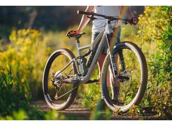 Ibis Exie V2 GX 29" mountain bike bone