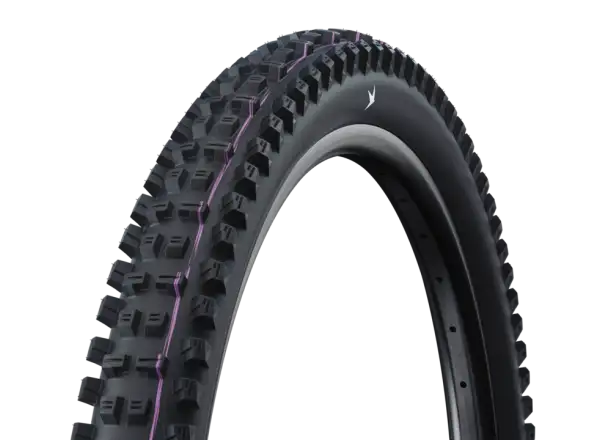 Schwalbe Tacky Chan Super Ground SnakeSkin TLE E-50 29x2,4" MTB tire kevlar