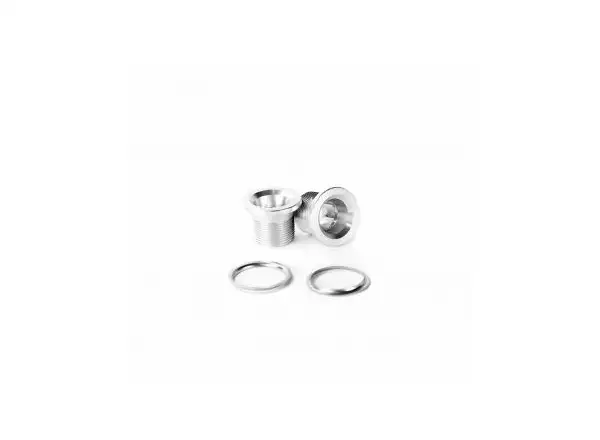 Leonardi Factory Bolt Capo crank bolts silver