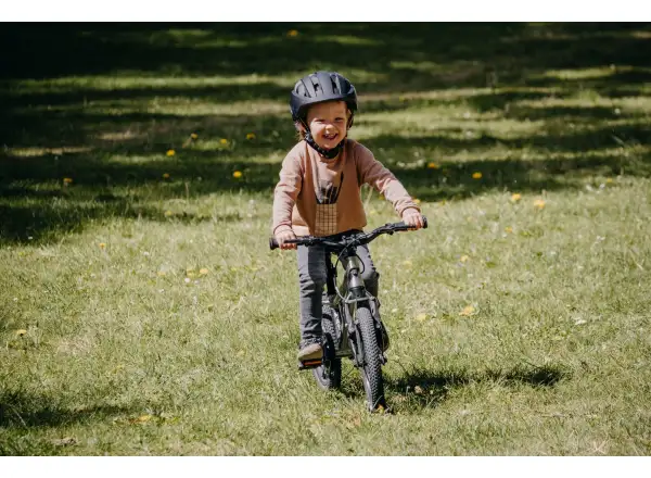 Rascal 16 children's bike Amethyst Limited