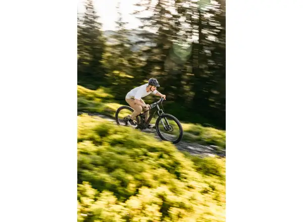 Raymon Airok full-suspension electric bike Silver Stealth/Taupe