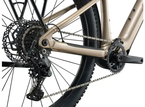 Liv Tempt E+ EX BOX mountain e-bike Sandshell