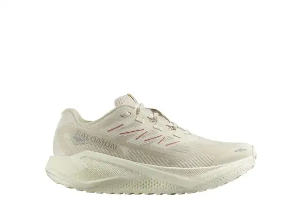 Salomon Aero Blaze 3 GRVL W women's running shoes Vanilla Ice
