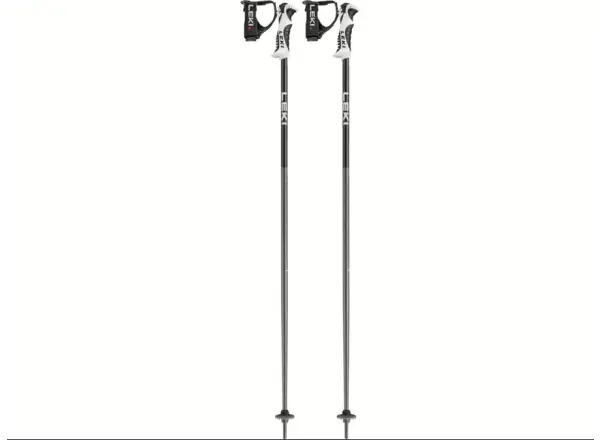 Leki Bold S alpine poles Dark Anthracite/Black/White