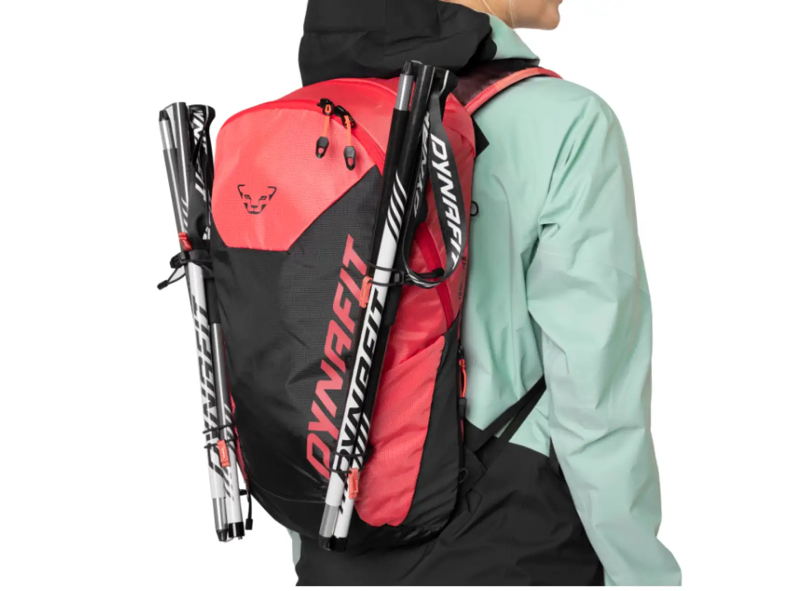 Dynafit Transalper 16 W backpack Cabana/Black Out