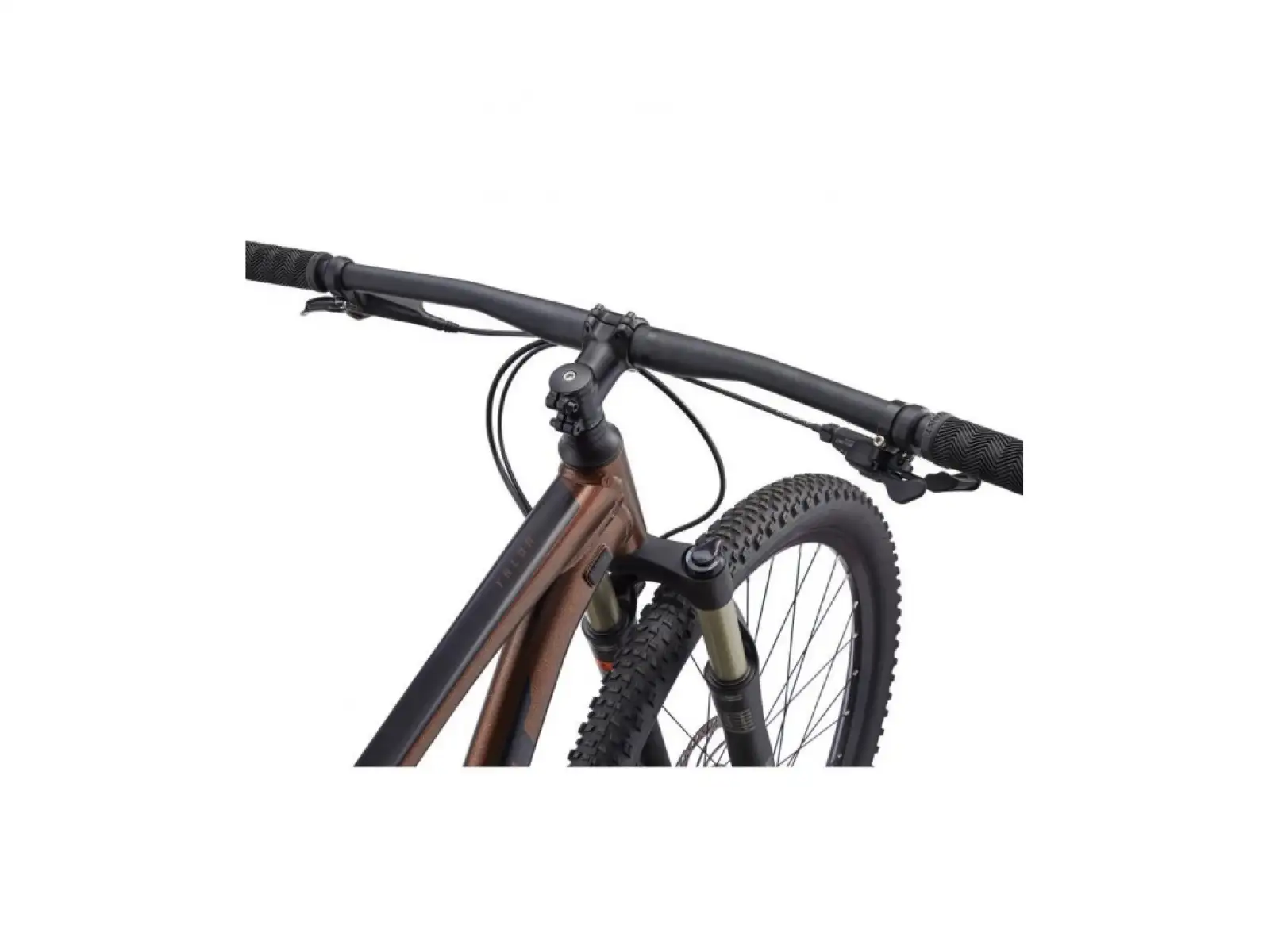 Giant Talon 29 1 GE Hematite mountain bike