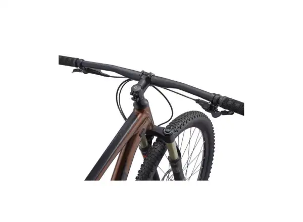 Giant Talon 29 1 GE Hematite mountain bike