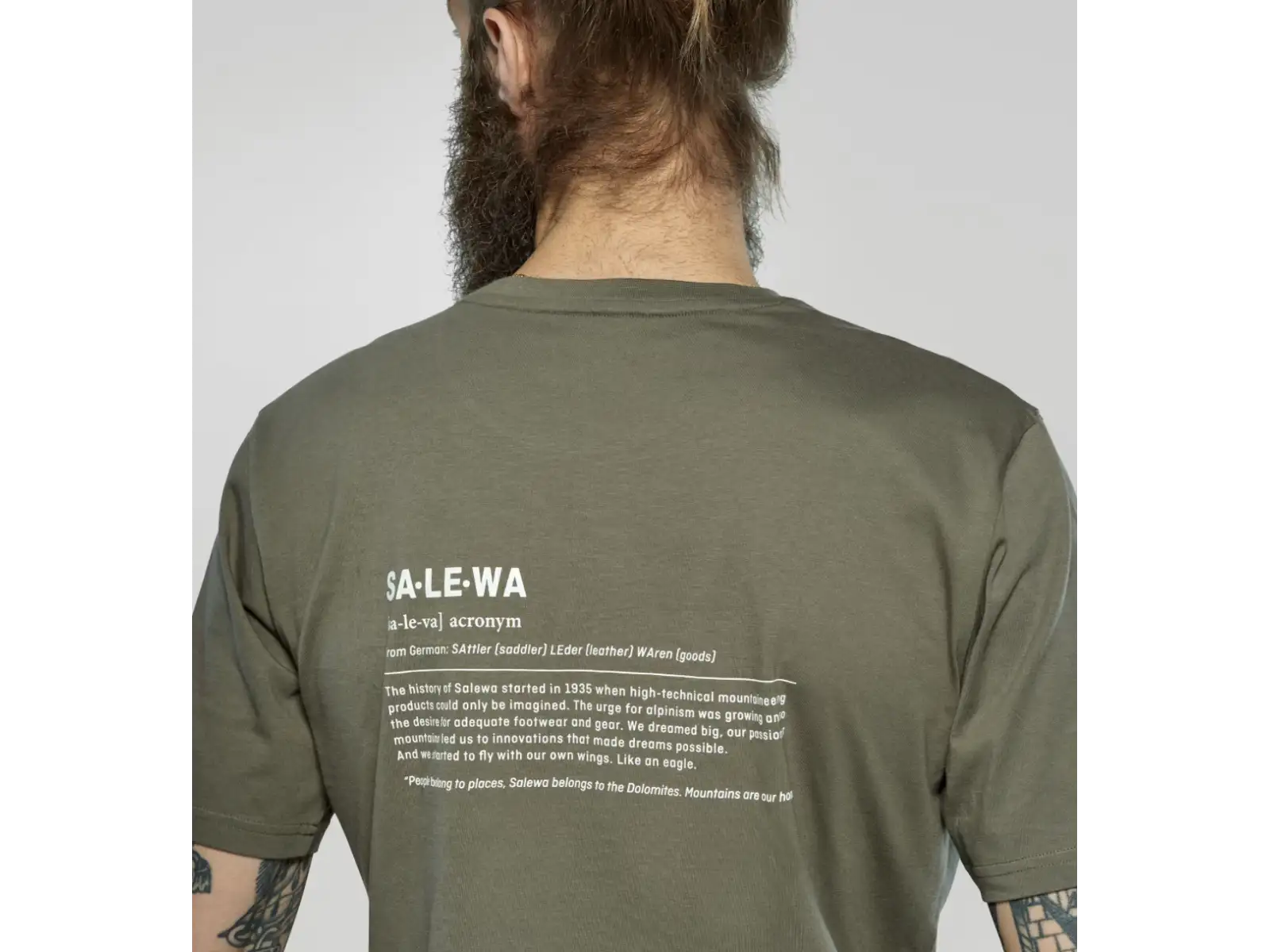 Salewa Eagle Vocab men's short sleeve T-shirt Faded Green
