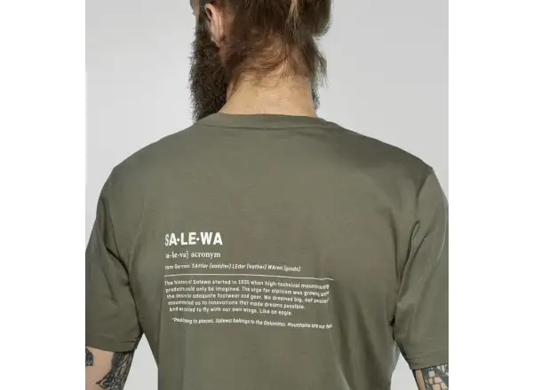 Salewa Eagle Vocab men's short sleeve T-shirt Faded Green