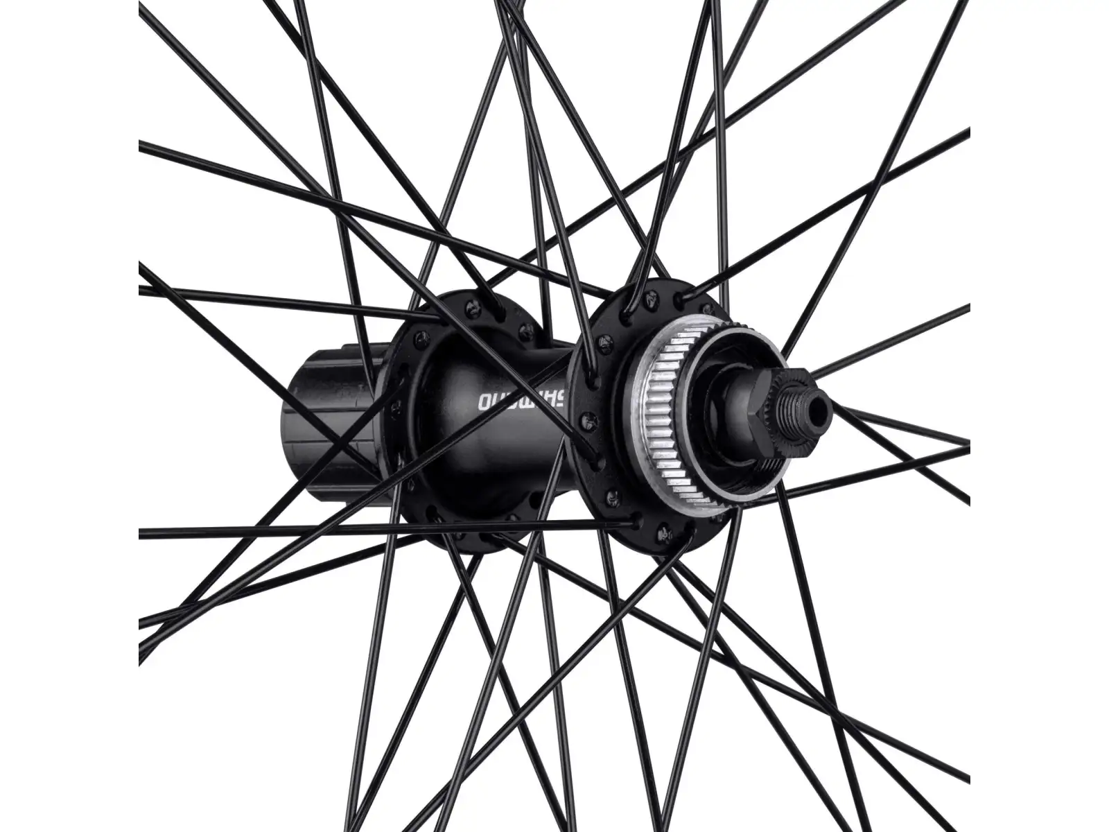 Force XC Disc 29 CL front wheel hub Shimano