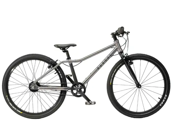 Rascal 24 7 sp. Shimano Nexus kids bike Titanium