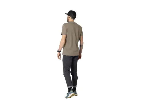 Dynafit Graphic Cotton men's T-shirt short sleeve Fallen Rock/Horizon