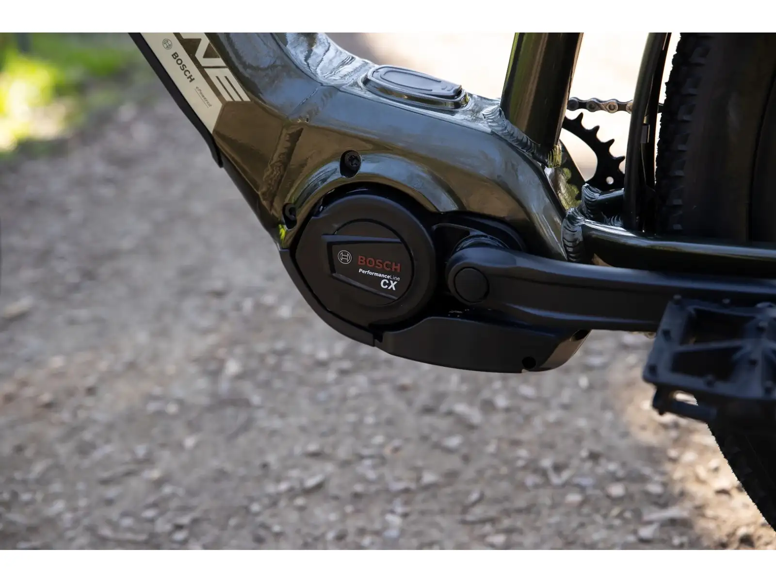 Rock Machine eBlizz B70T mountain e-bike Gloss Dark Forest