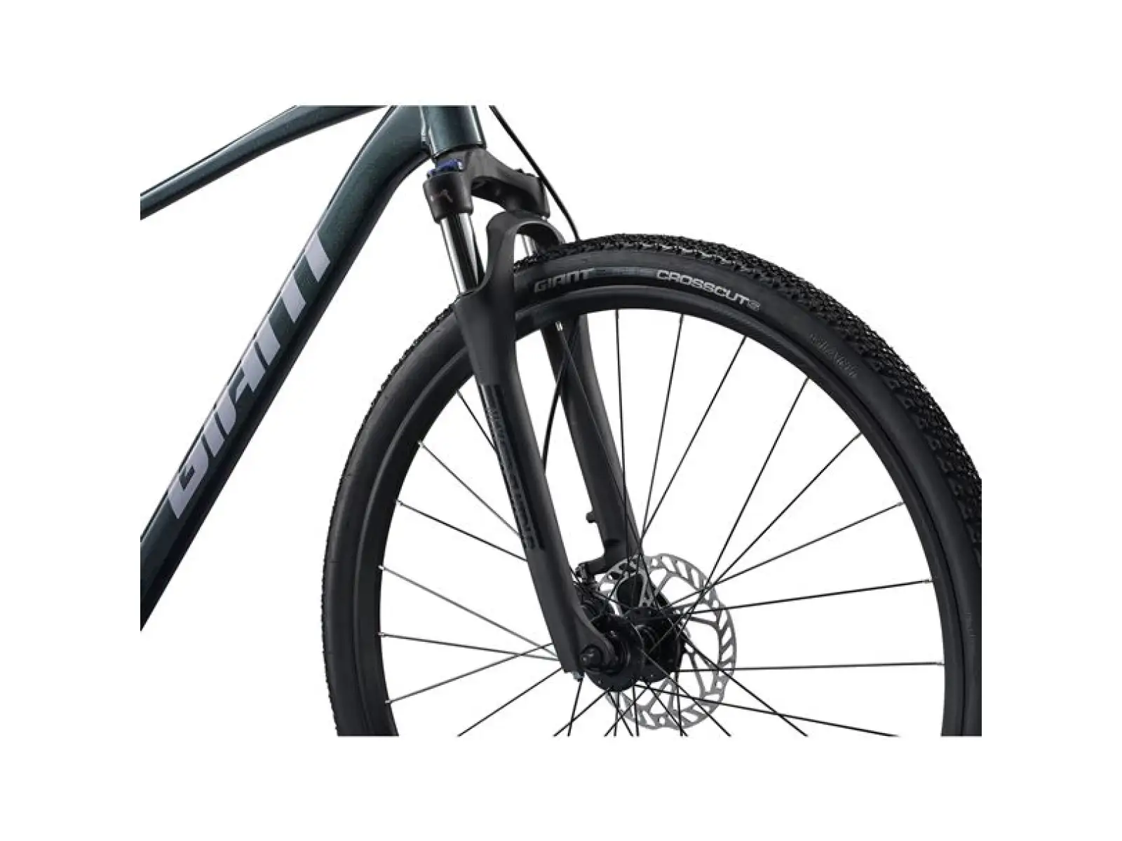 Giant Roam 2 Asphalt trekking bike Green