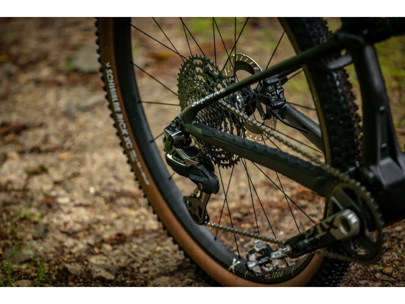 Superior XF 9.9 Team mountain bike Gloss Carbon/Red Carbon