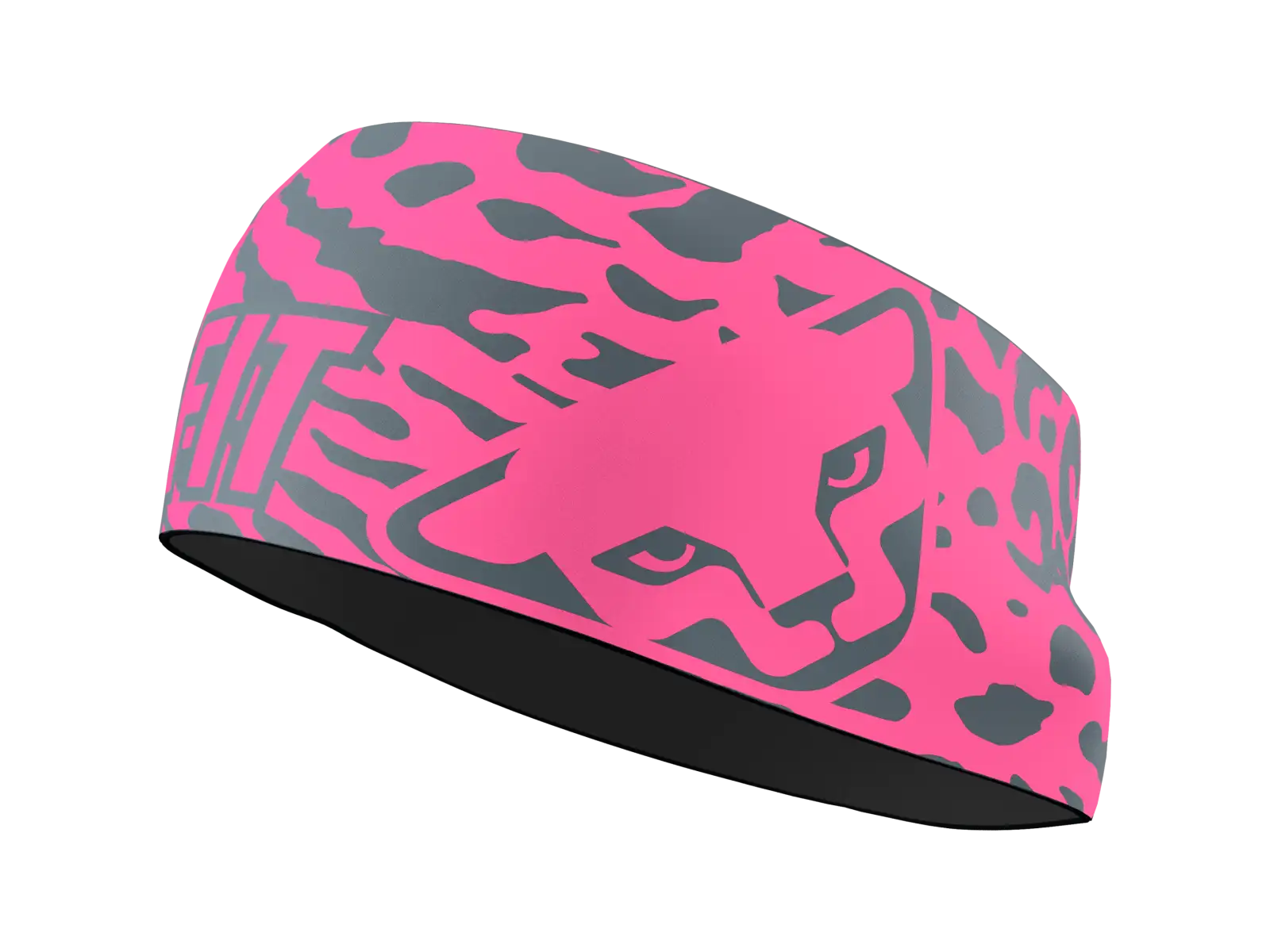 Dynafit Graphic Performance headband Black Out/Stripes