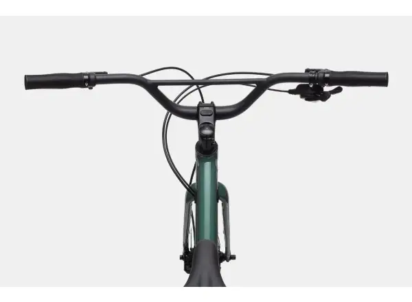 Cannondale Treadwell 2 Remixte fitness bike Jade