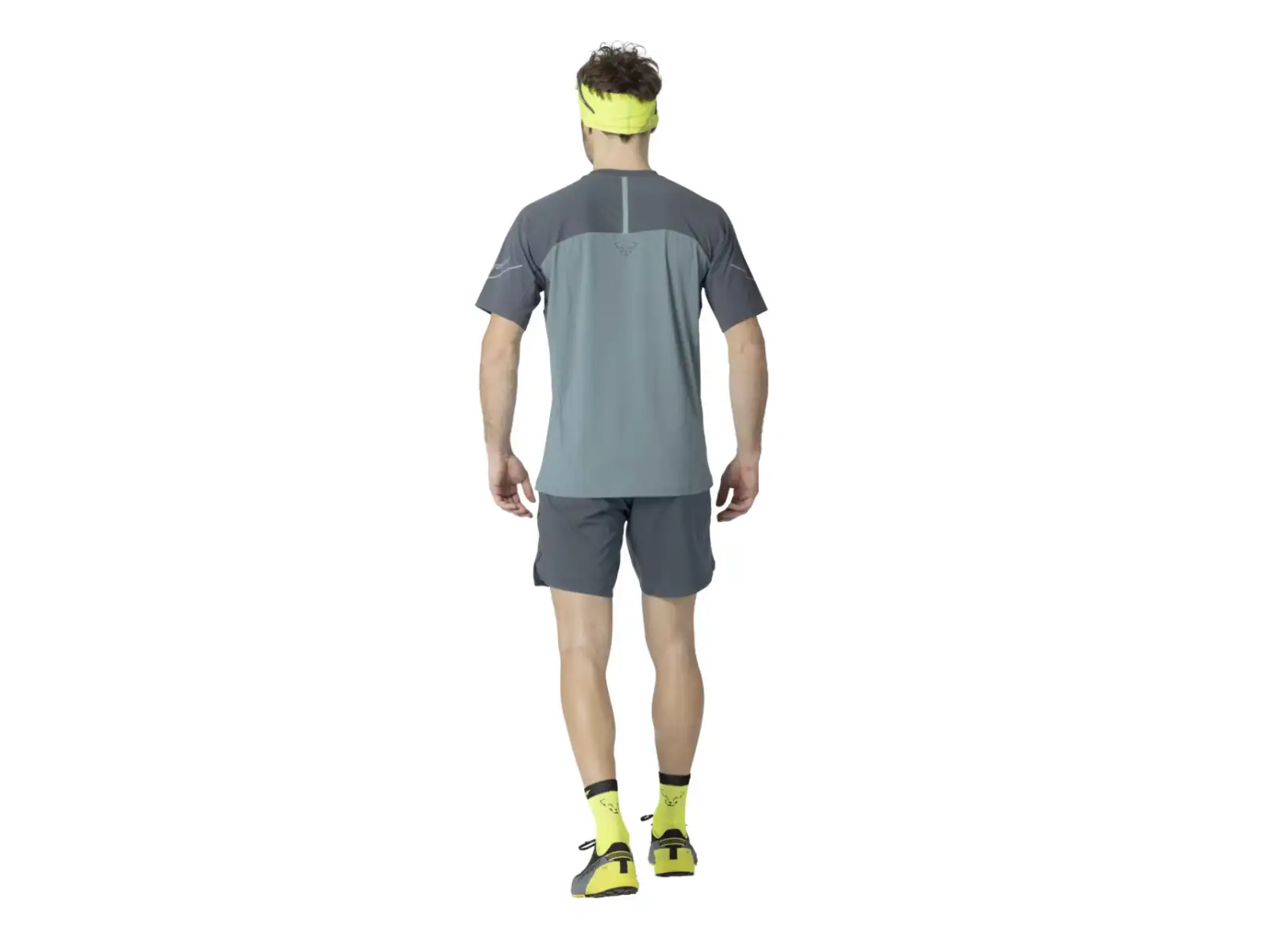 Dynafit Alpine Pro men's running shirt Smoke Blue