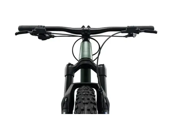 Liv STP 24 children's mountain bike Alpine Green