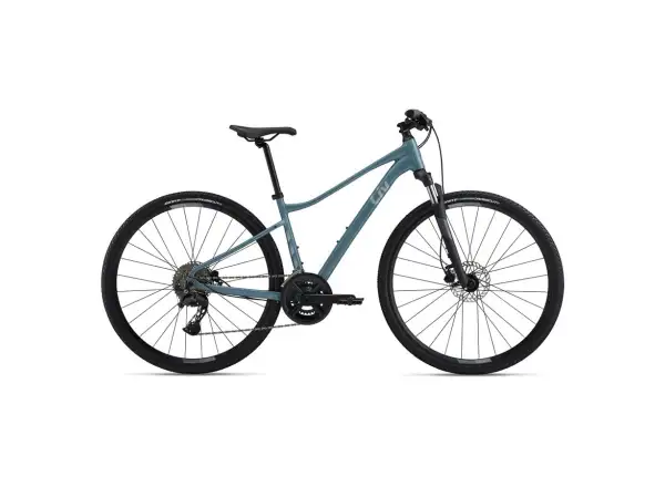 Giant Rove 2 trekking bike Storm Cloud