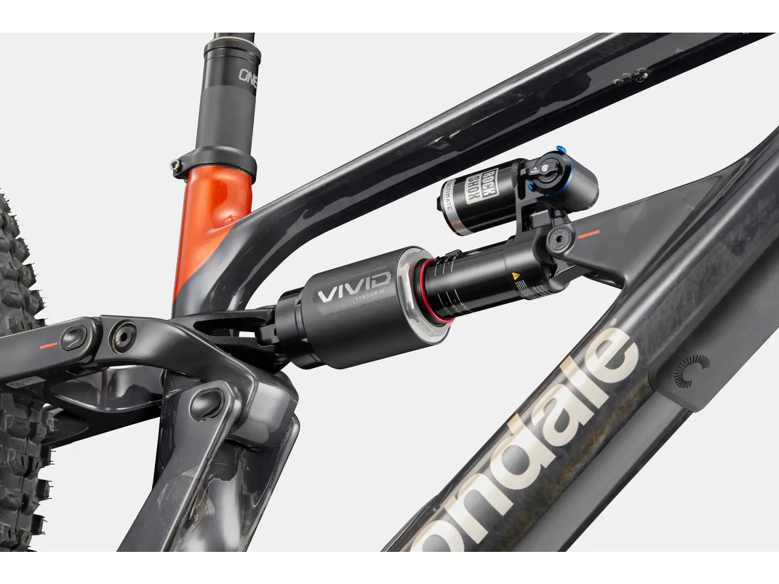 Cannondale Bad Habit 1 mountain bike RAW Carbon