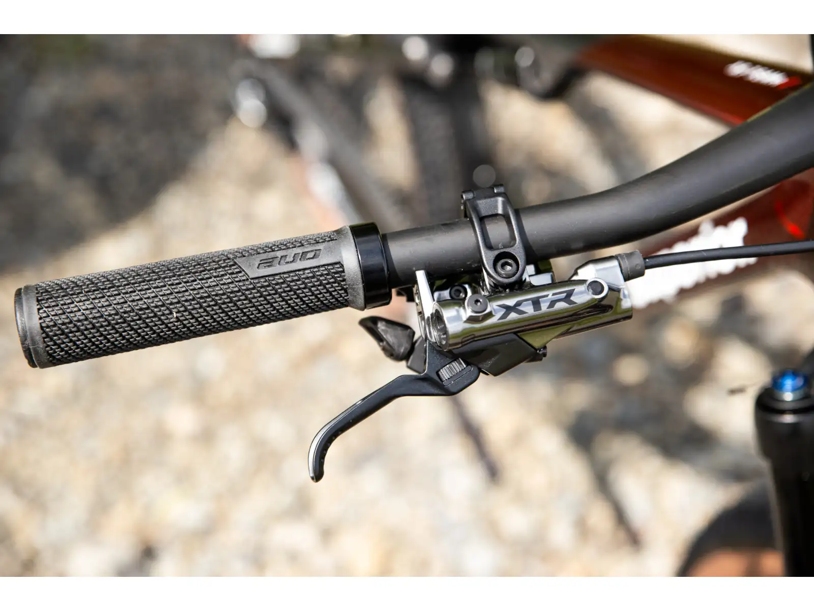 Superior XF 9.9 Team mountain bike Gloss Carbon/Red Carbon