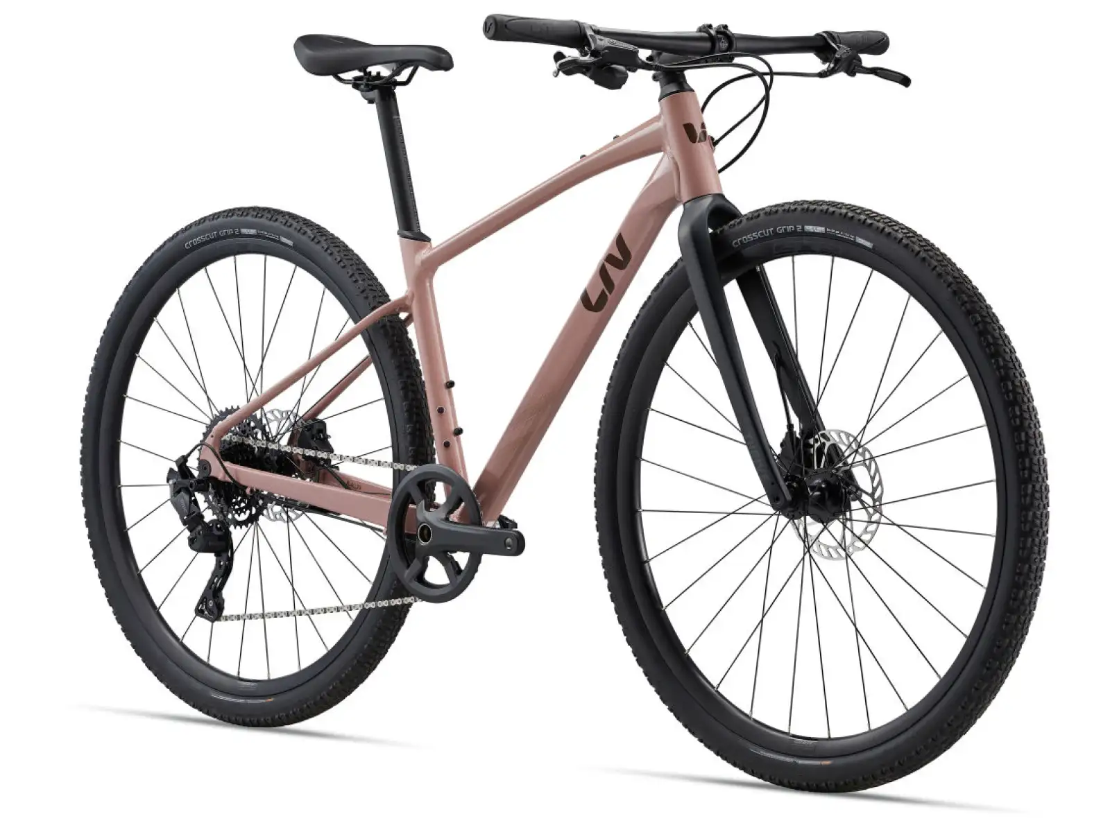 Liv Thrive GX fitness bike petra clay