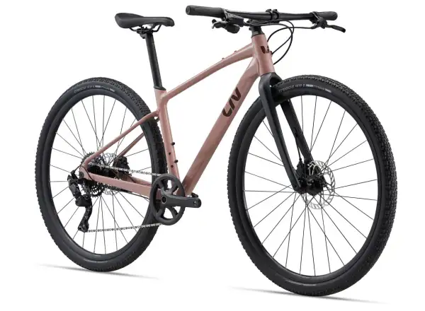 Liv Thrive GX fitness bike petra clay