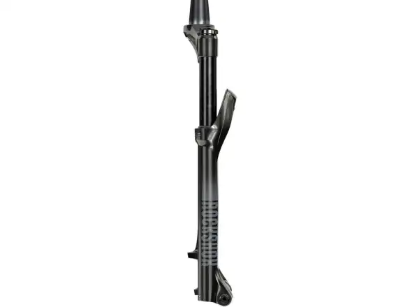 Rock Shox Recon Silver RL D1 15x100 mm 29" suspension fork Black