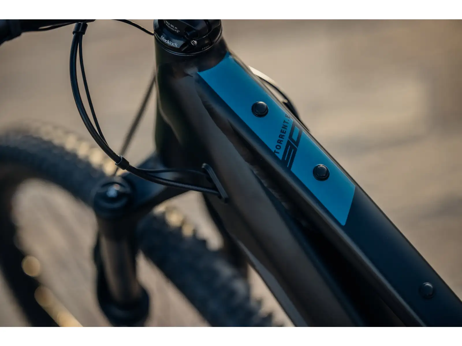 Rock Machine Torrent E90-29 Easy Entry mountain e-bike Petrol SAMPLE
