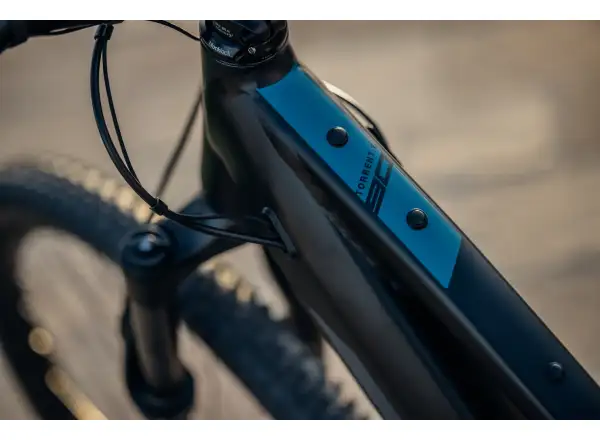 Rock Machine Torrent E90-29 Easy Entry mountain e-bike Petrol SAMPLE