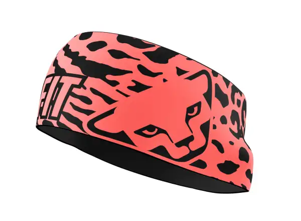 Dynafit Graphic Performance headband Ultra Coral/Leo
