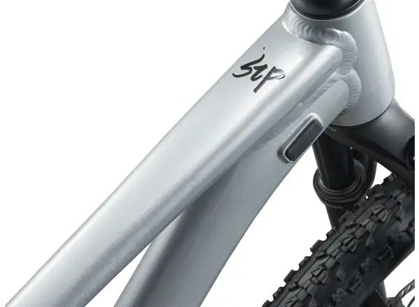 Giant STP 26 M children's mountain bike Quicksilver