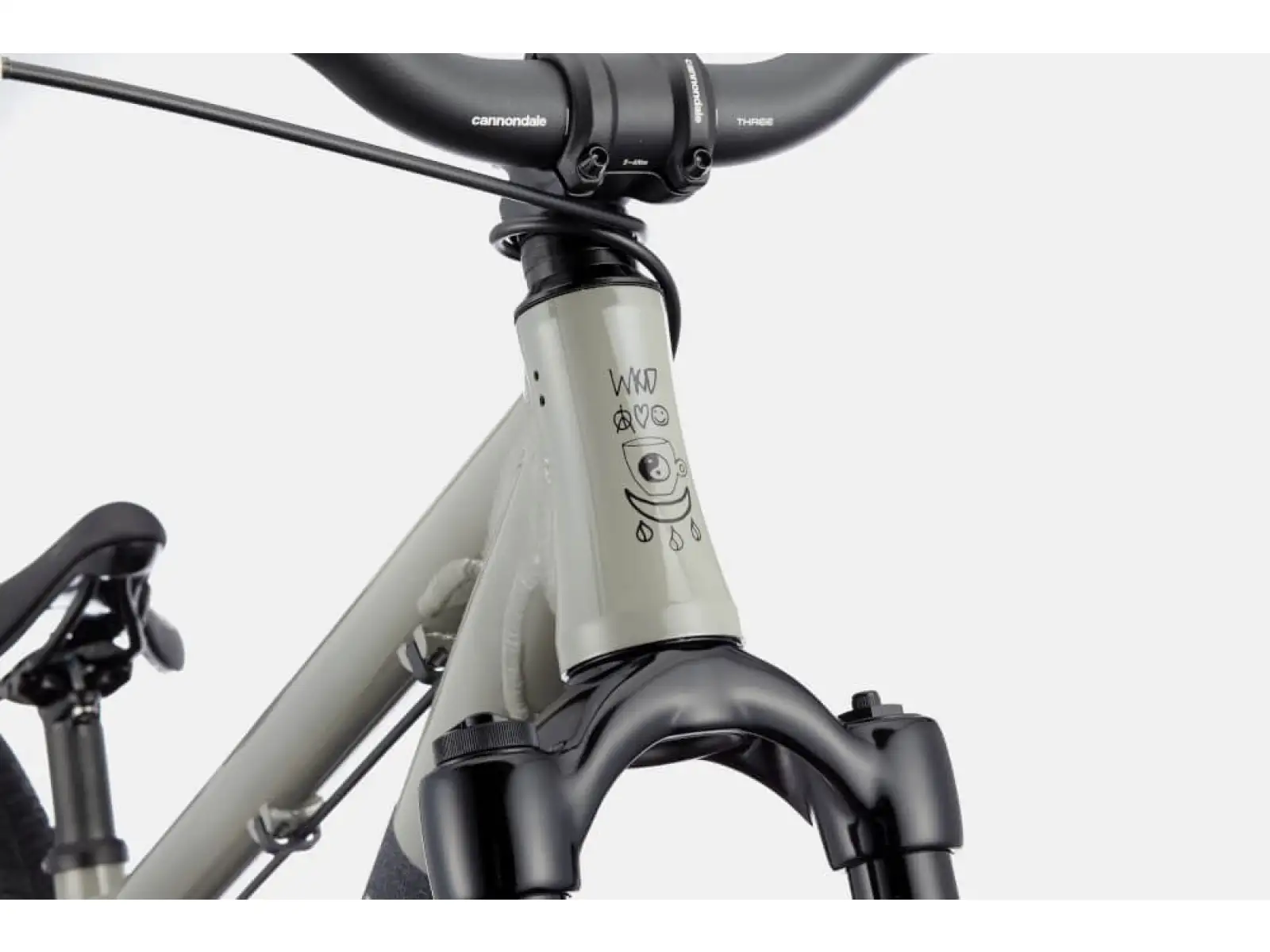 Cannondale Dave Dirt Jump dirt bike Stealth Grey