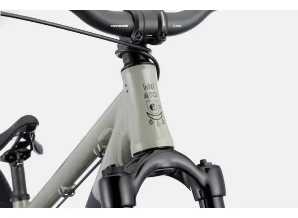 Cannondale Dave Dirt Jump dirt bike Stealth Grey