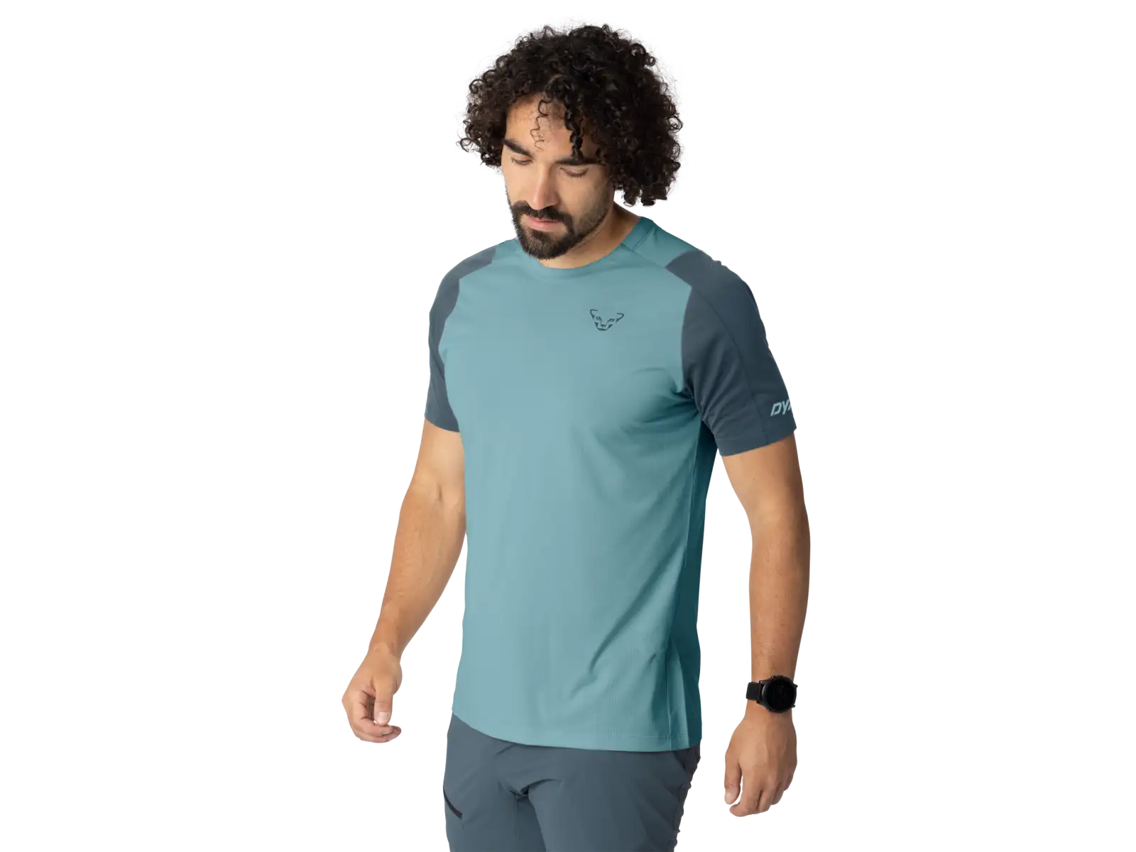 Dynafit Transalper men's short sleeve T-shirt Smoke Blue