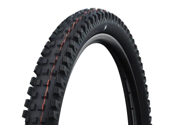 Schwalbe Magic Mary Gravity Pro TLR kevlar tire