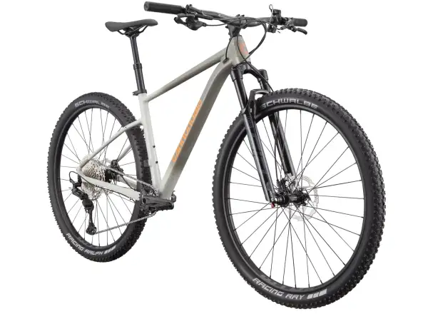 Cannondale Trail SL 1 29" mountain bike Slate Grey