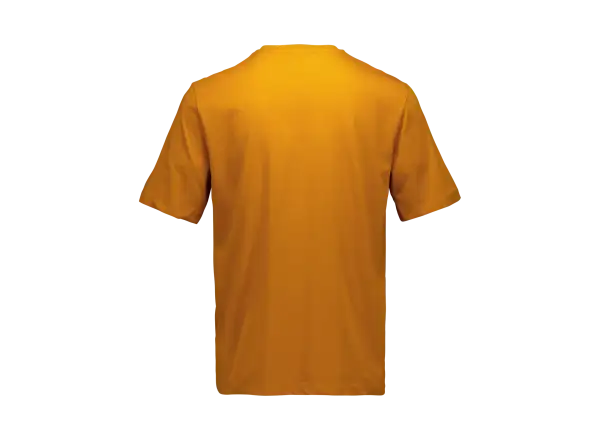 POC Tee men's T-shirt Bauxite Brown
