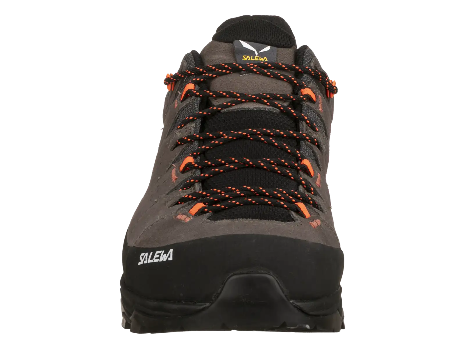 Salewa Alp Trainer 2 men's shoes Bungee Cord / Black