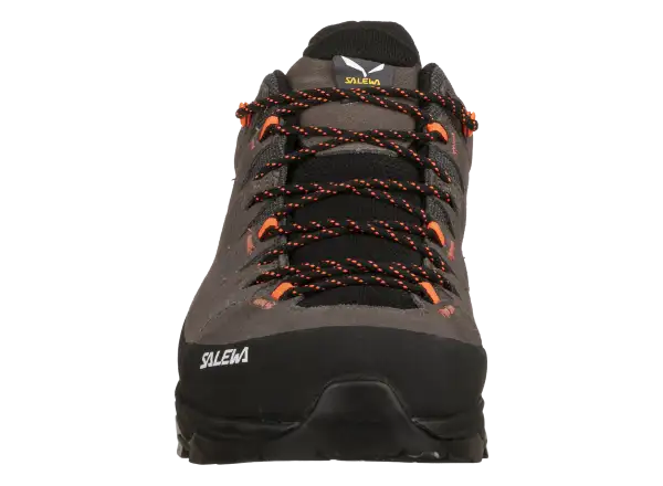 Salewa Alp Trainer 2 men's shoes Bungee Cord / Black