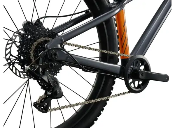 Giant STP 24 children's mountain bike Black Chrome